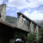 Meli in fiore Val Venosta